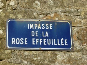 Bretagne rue rose 909